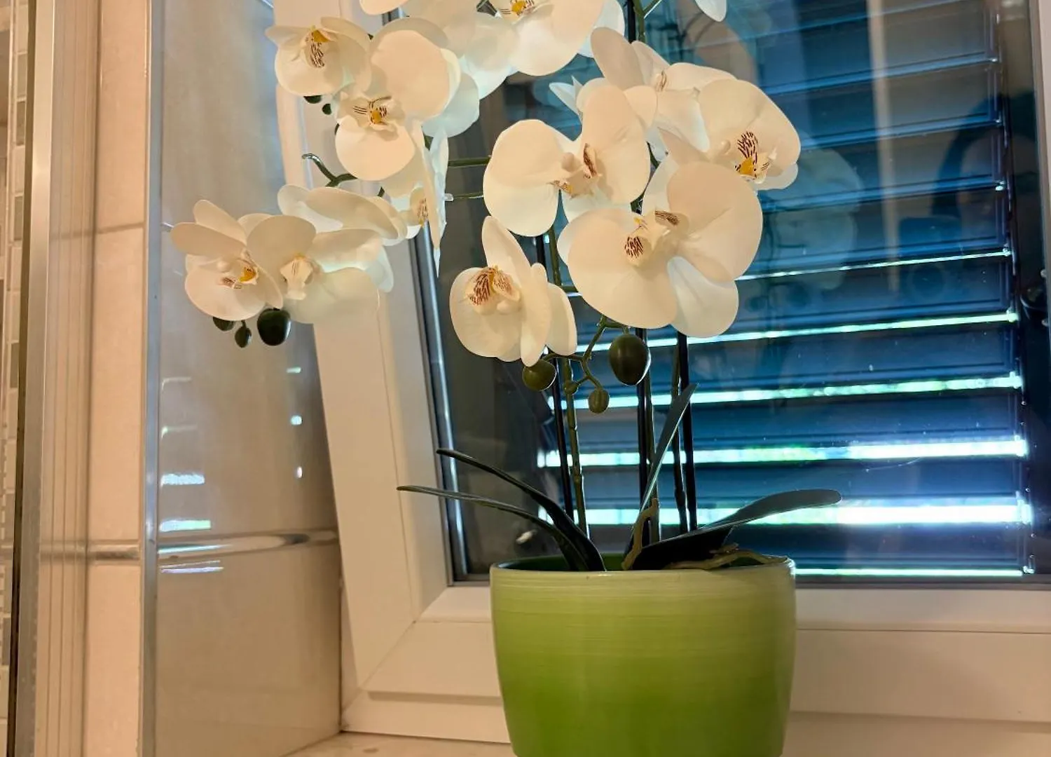 Apartment Andelina, Split